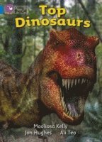 bokomslag Top Dinosaurs
