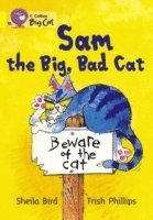 bokomslag Sam and the Big Bad Cat