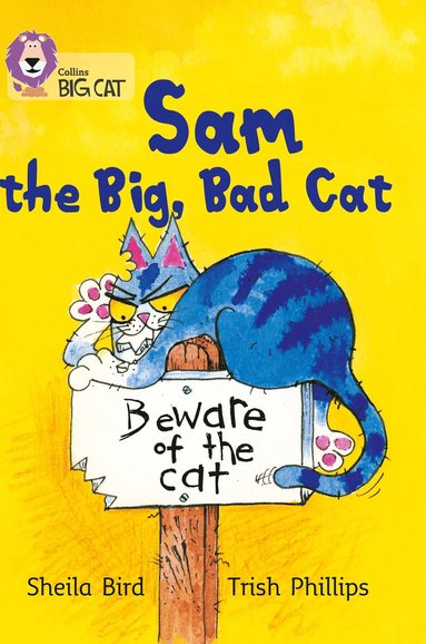 bokomslag Sam and the Big Bad Cat