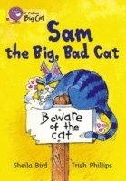 Sheila Bird, Cliff Moon - Sam and the Big Bad Cat, Häftad