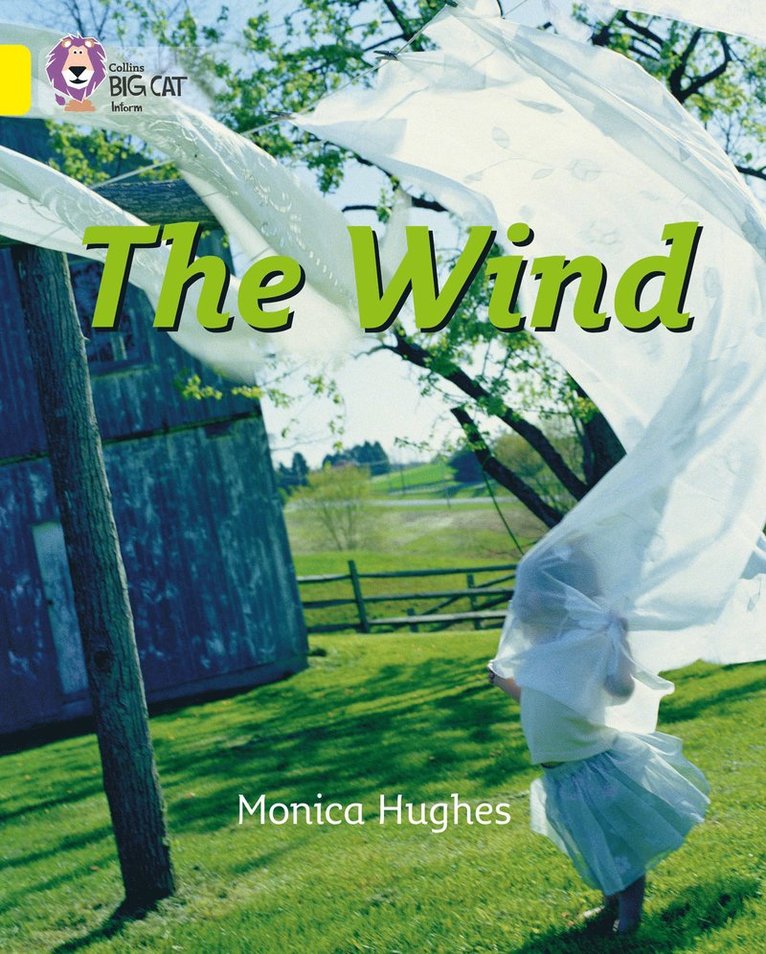 The Wind 1