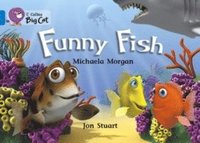 bokomslag Funny Fish