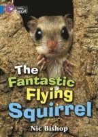 bokomslag The Fantastic Flying Squirrel