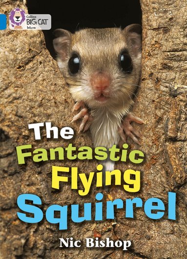 Nic Bishop - Fantastic Flying Squirrel, Häftad