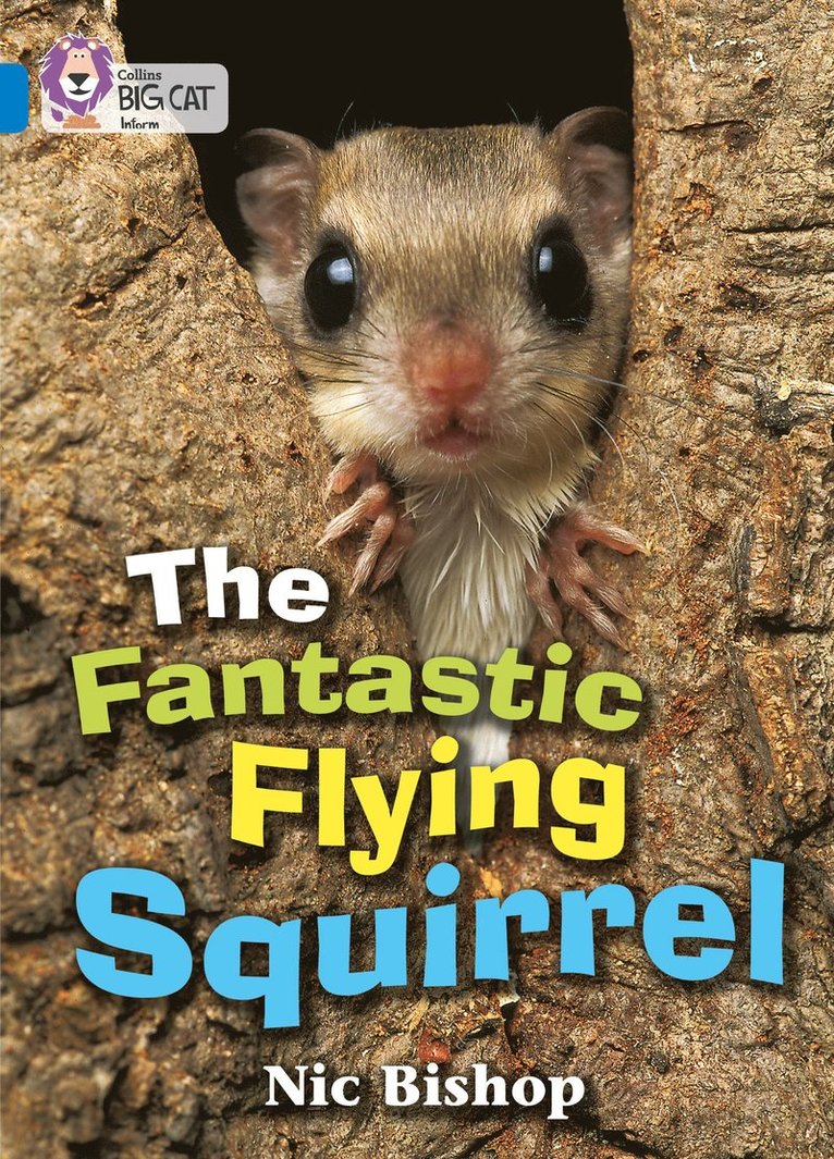 The Fantastic Flying Squirrel 1