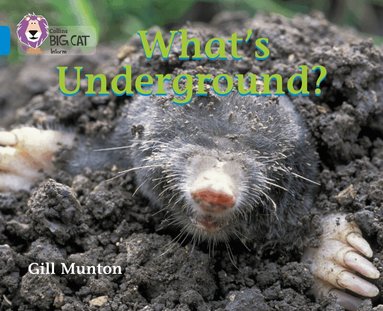 Gill Munton, Cliff Moon - What’s Underground, Häftad