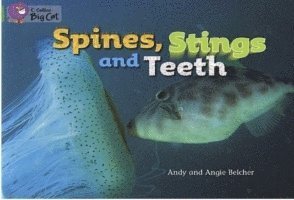 Spines, Stings and Teeth 1