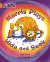 Morris Plays Hide and Seek 1