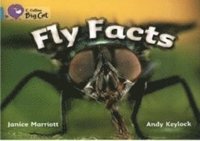 bokomslag Fly Facts