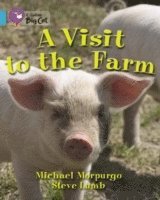 bokomslag A Visit to the Farm