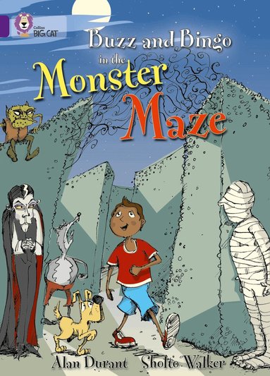 Alan Durant - Buzz and Bingo in the Monster Maze, Häftad