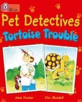 bokomslag Pet Detectives: Tortoise Trouble