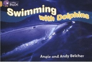 Swimming with Dolphins 1