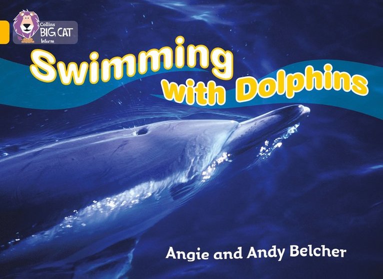 Swimming with Dolphins 1