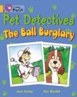 bokomslag Pet Detectives: The Ball Burglary