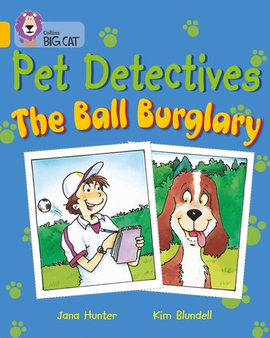 bokomslag Pet Detectives: The Ball Burglary