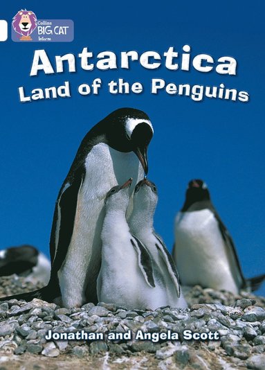 bokomslag Antarctica: Land of the Penguins