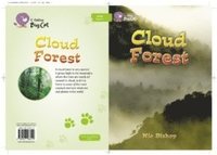 bokomslag Cloud Forest