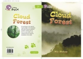 Cloud Forest 1