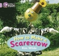 bokomslag How To Make a Scarecrow