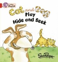 bokomslag Cat and Dog Play Hide and Seek
