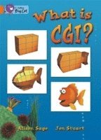 bokomslag What Is CGI?