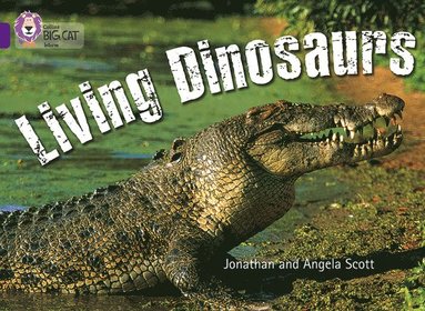 bokomslag Living Dinosaurs