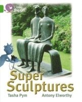 bokomslag Super Sculptures