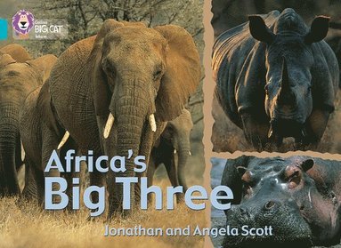 bokomslag Africas Big Three