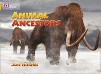 bokomslag Animal Ancestors