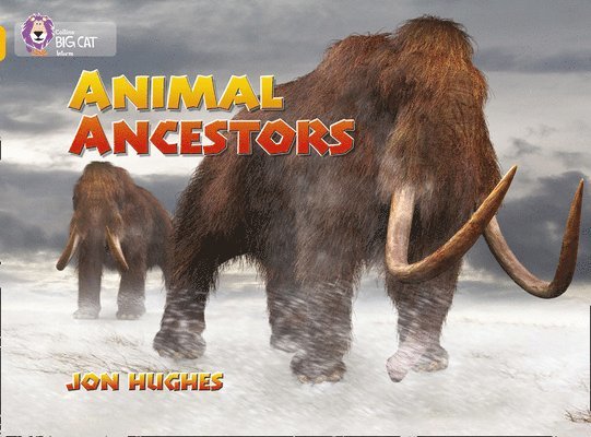 Animal Ancestors 1