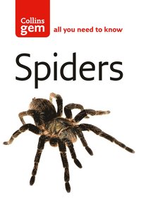 bokomslag Spiders