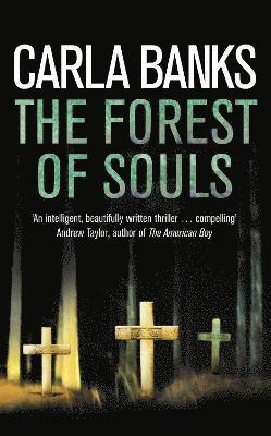 bokomslag The Forest of Souls