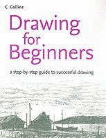 bokomslag Drawing for Beginners