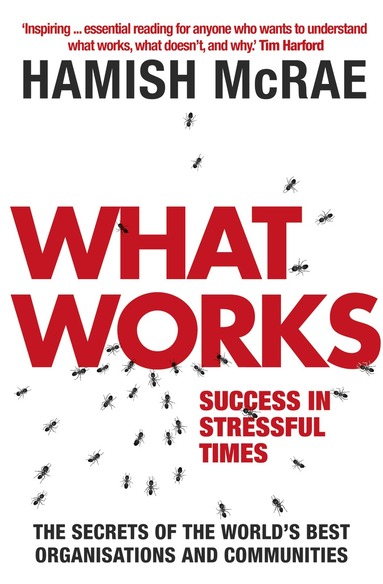 Hamish McRae - What Works, Häftad
