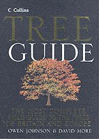 bokomslag Collins Tree Guide