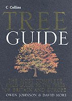 Collins Tree Guide 1
