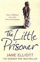 bokomslag The Little Prisoner