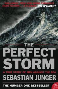bokomslag Perfect Storm