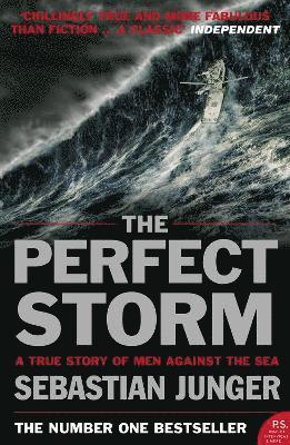 bokomslag Perfect Storm