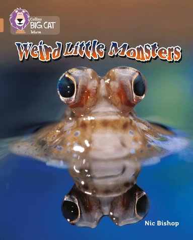 Nic Bishop - Weird Little Monsters, Häftad