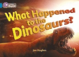 What Happened to the Dinosaurs? 1