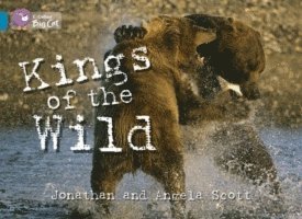 Kings of the Wild