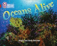bokomslag Oceans Alive