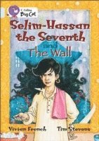 Selim-Hassan the Seventh and the Wall 1