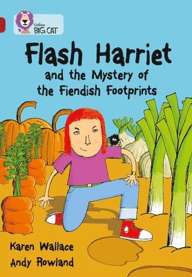 bokomslag Flash Harriet and the Mystery of the Fiendish Footprints