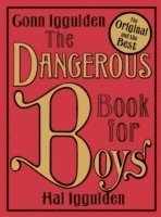 bokomslag The Dangerous Book for Boys
