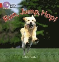 Run, Jump, Hop 1