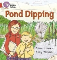 Pond Dipping 1