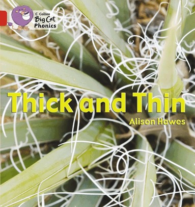 Alison Hawes - Thick and Thin, Häftad